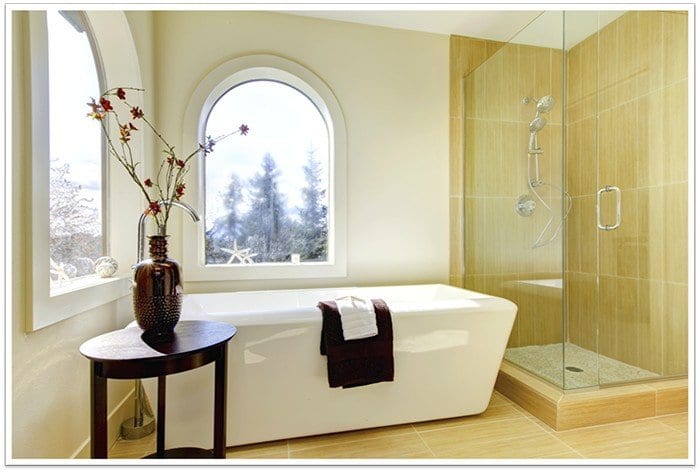 plant to the left, a bathtub in the middle of the photo next to two windows, and a frameless glass shower to the right