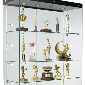 add a trophy shelf