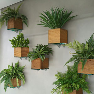 Get creative with a living wall garden