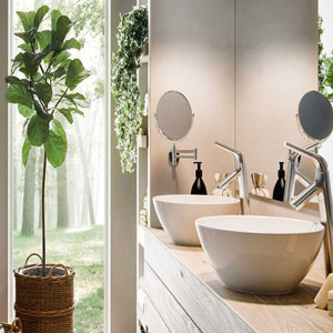 add plants to your bathroom to freshen it up