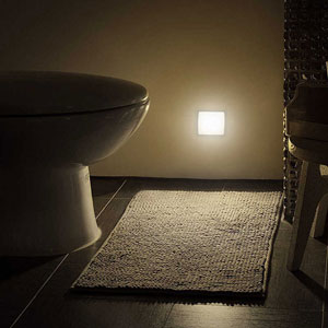 Motion activated bathroom light