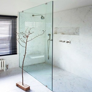 Frameless Shower Screen