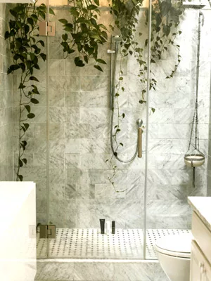  Research shower plants and find the perfect one for your situation.